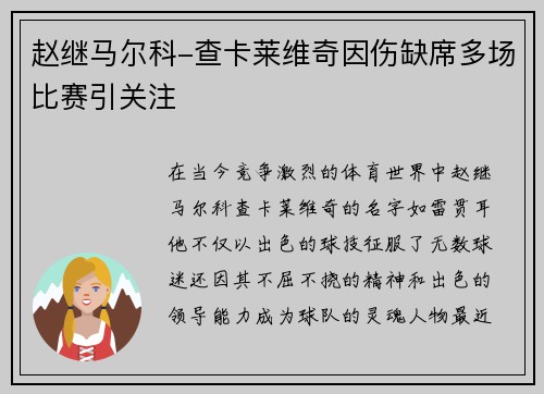 赵继马尔科-查卡莱维奇因伤缺席多场比赛引关注
